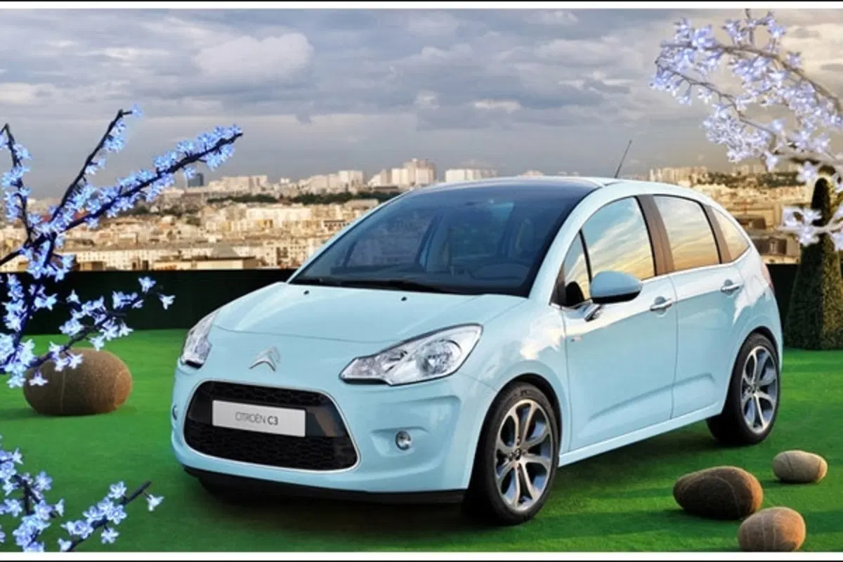 Citroen C3 (32)