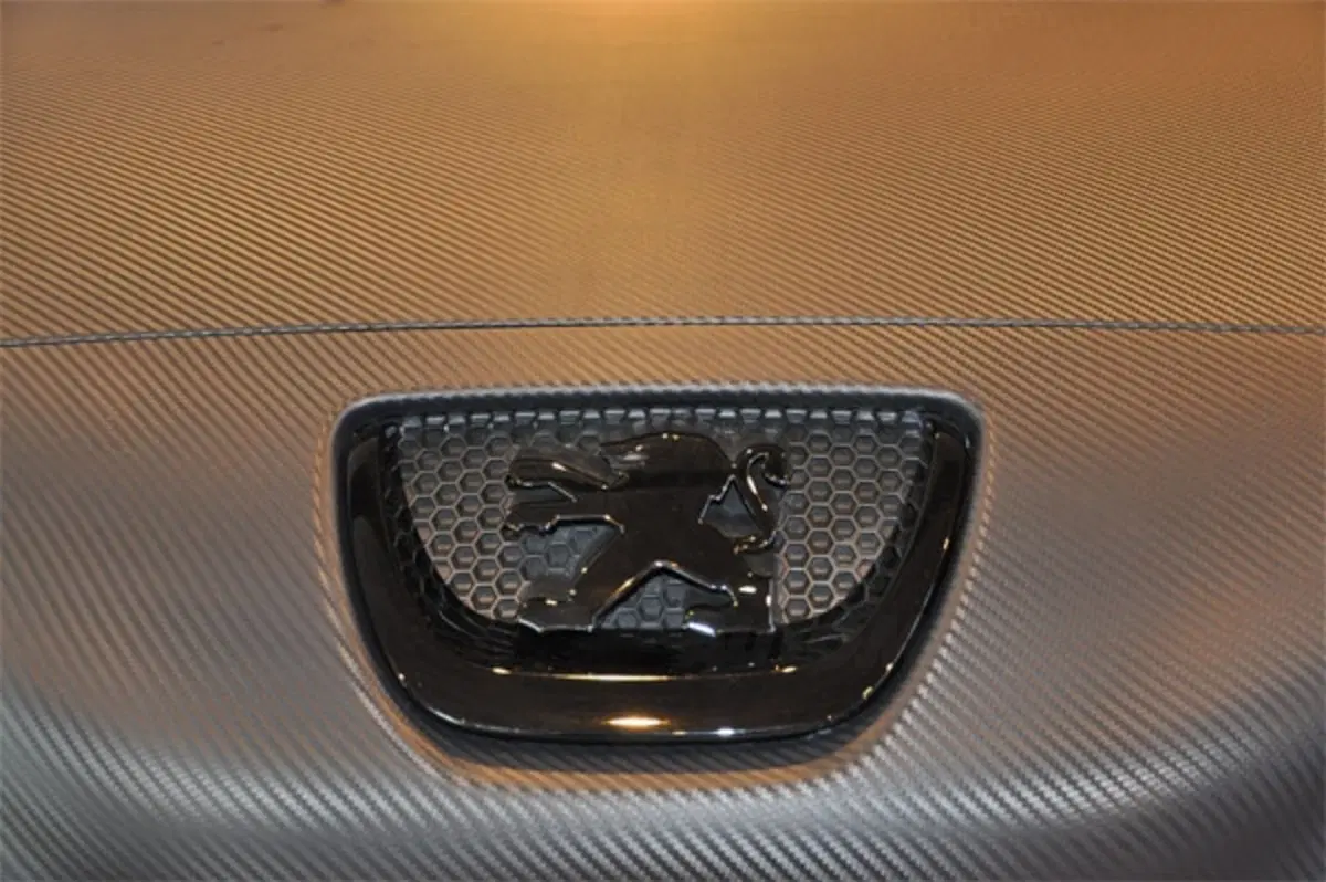 Peugeot 308 CC by Romeo Ferraris (3)