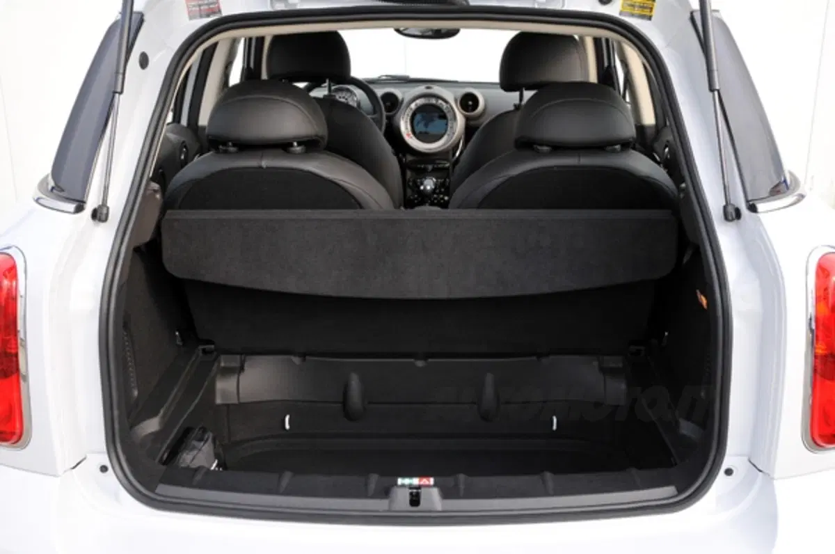 Mini Countryman (45)
