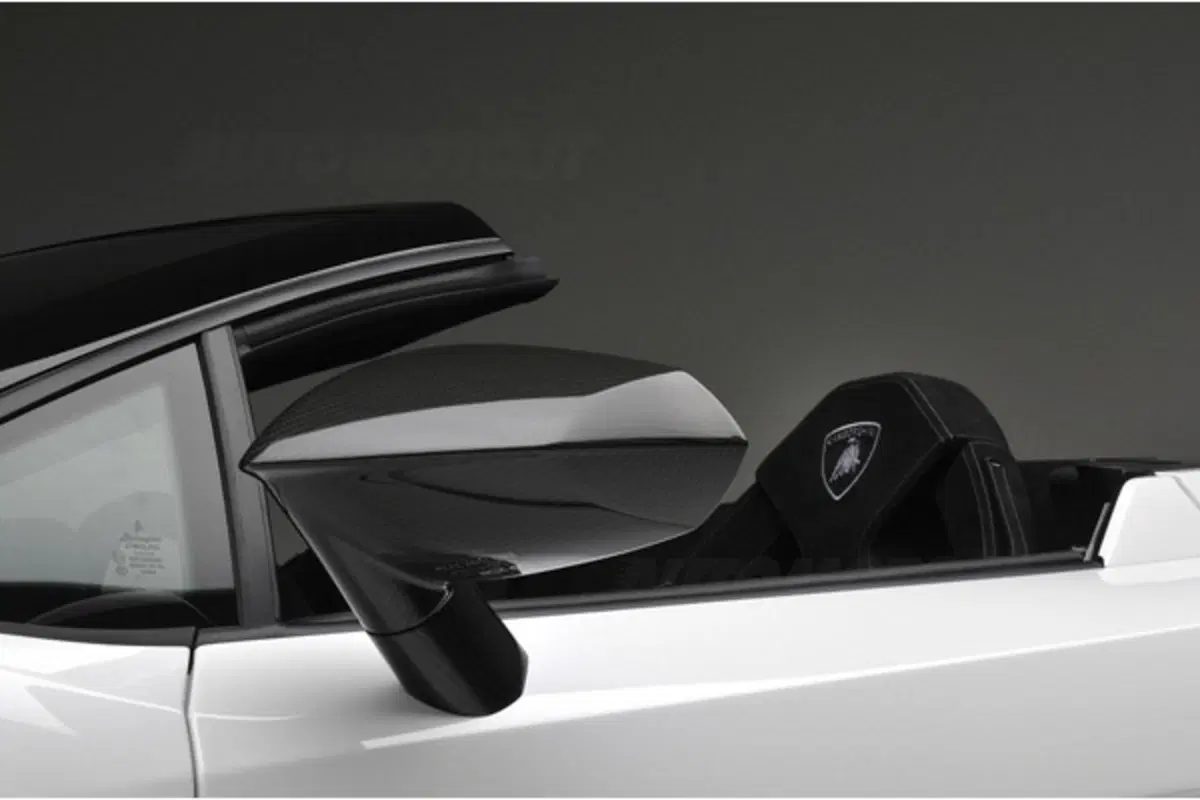 Lamborghini LP570-4 Spyder Performante (8)