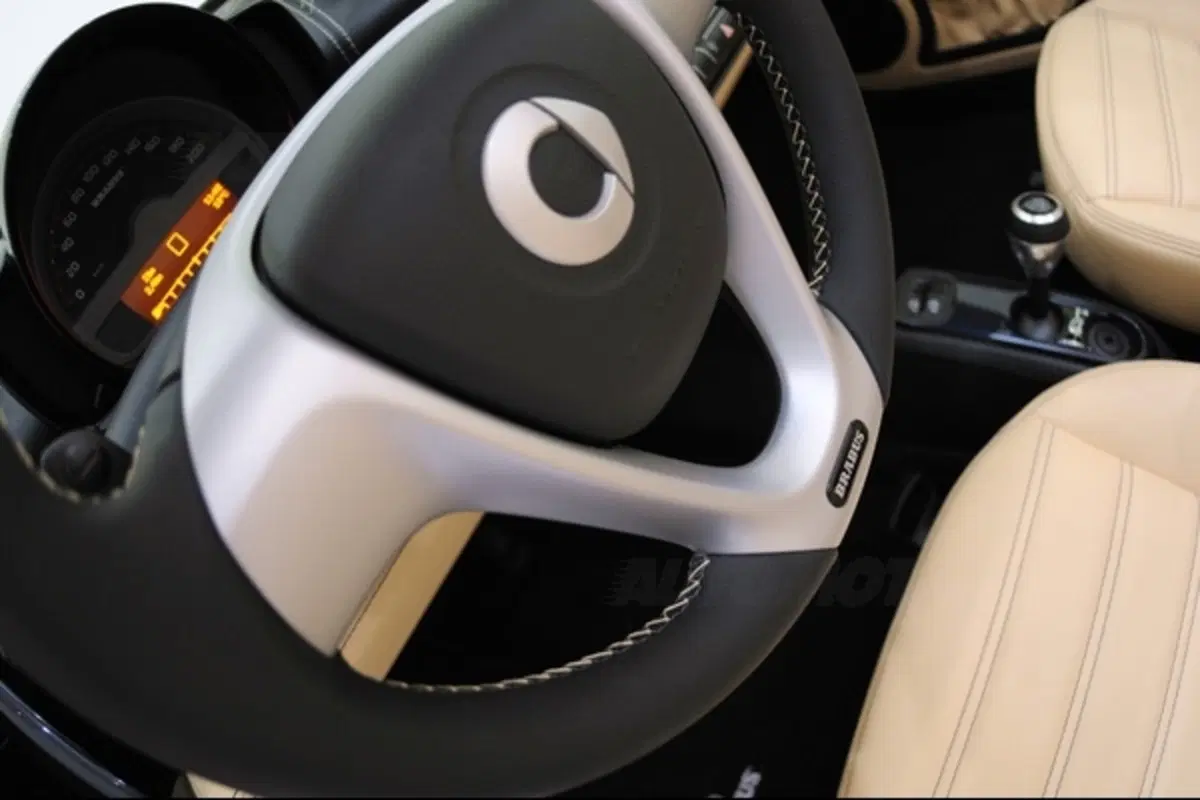 Smart Cabrio Brabus La Bleue (9)