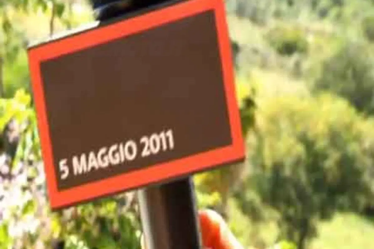 Mini Countryman WRC: shakedown al Rally di Sardegna