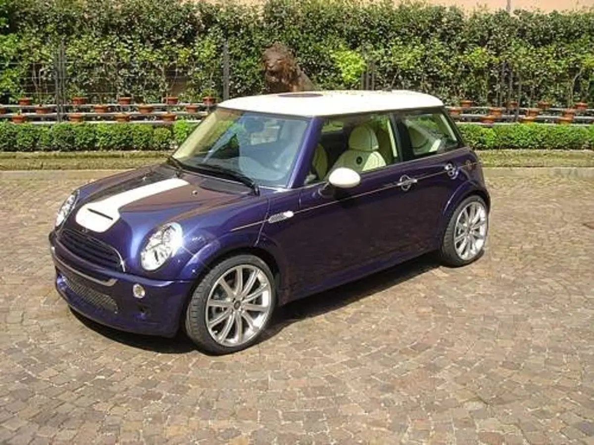 Mini Sassicaia (4)