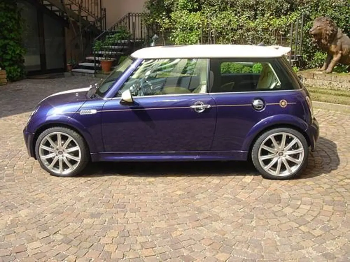 Mini Sassicaia (6)