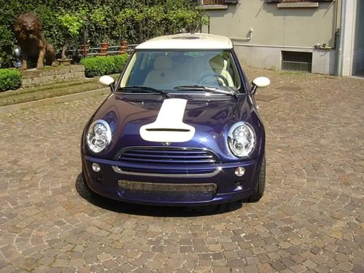 Mini Sassicaia (7)