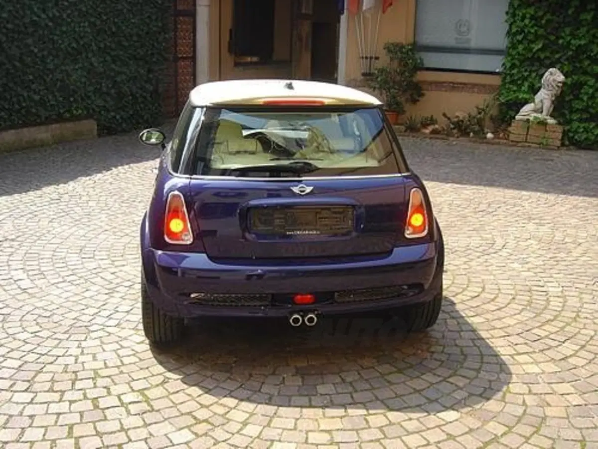 Mini Sassicaia (8)