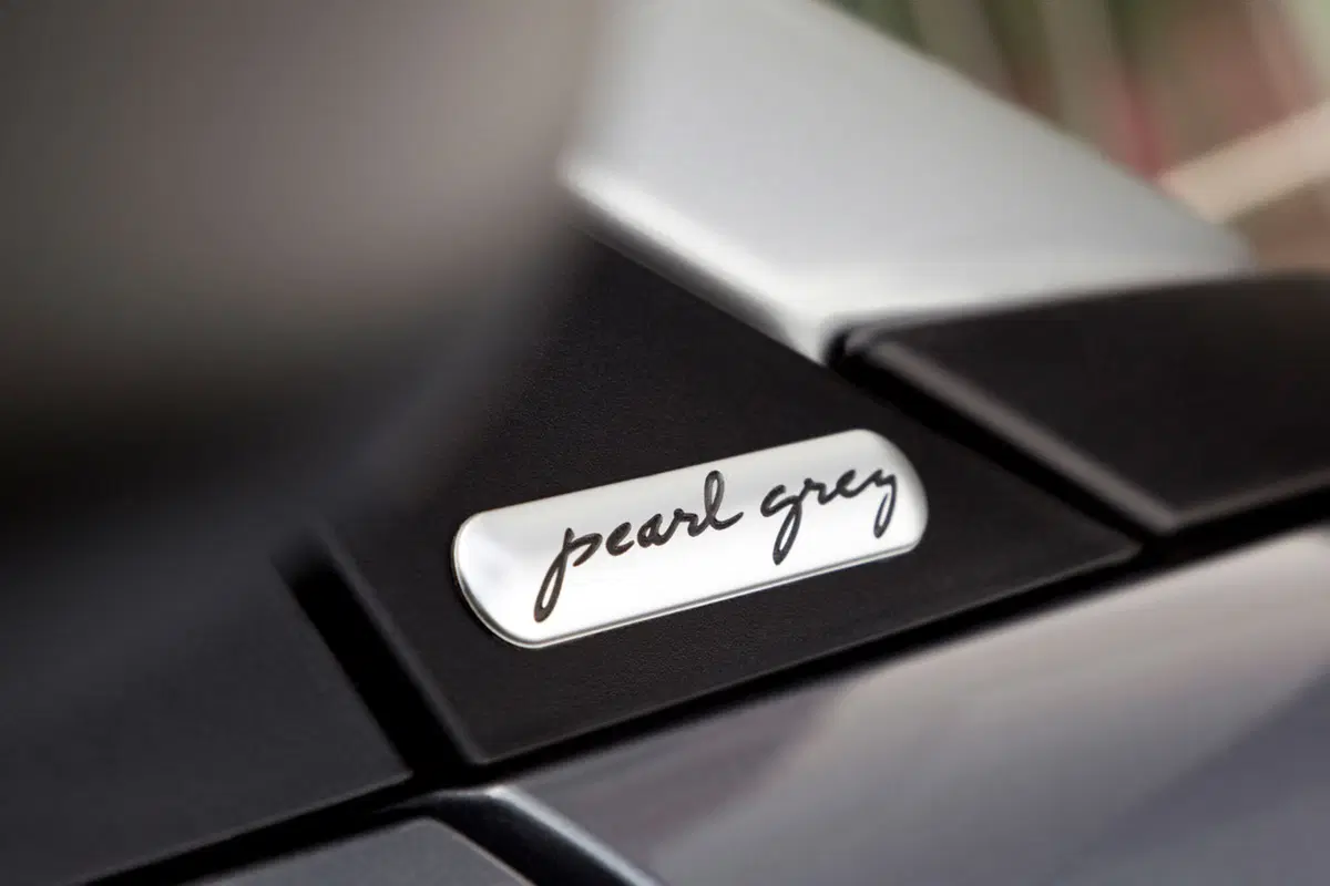 Smart Fortwo Pearlgrey (7)