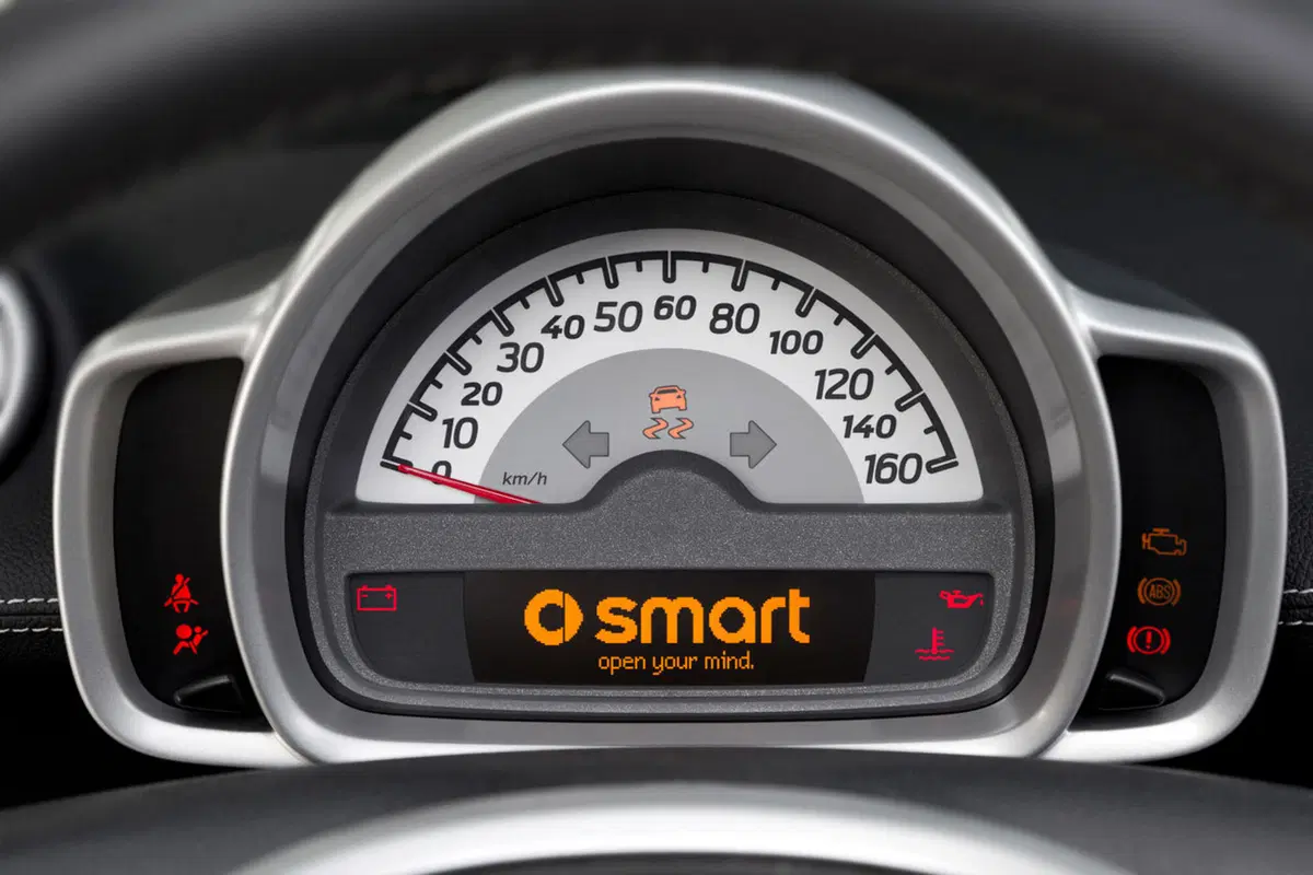 Smart Fortwo Pearlgrey (8)