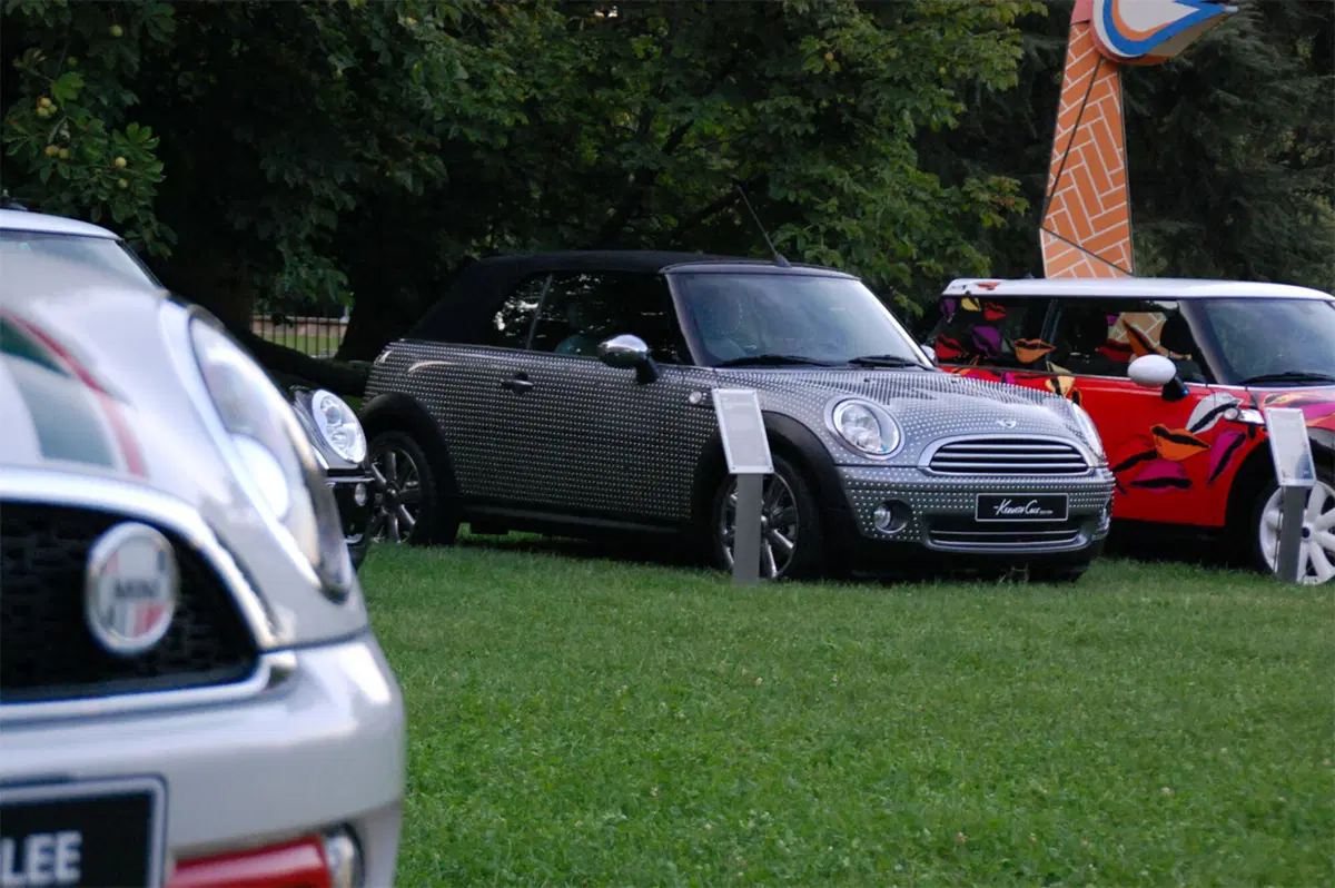 Mini: da 10 anni in Italia (55)