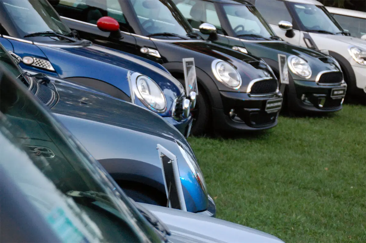 Mini: da 10 anni in Italia (63)