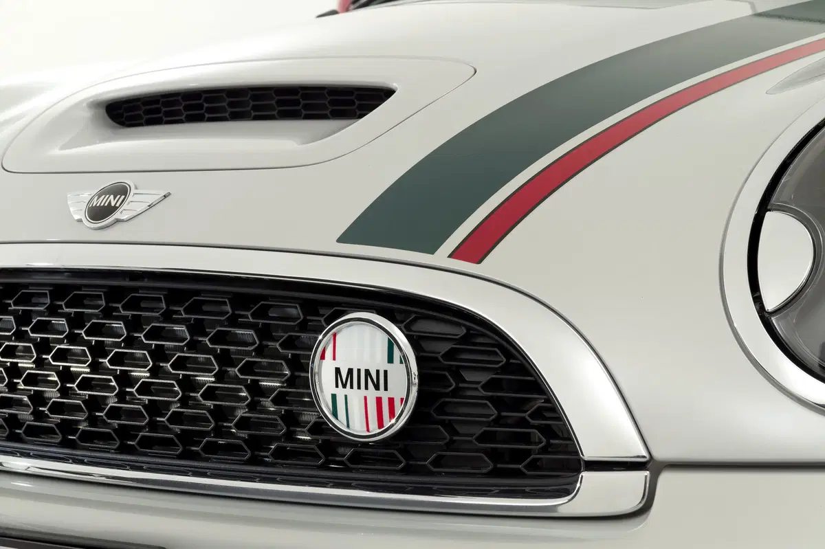 Mini: da 10 anni in Italia (70)