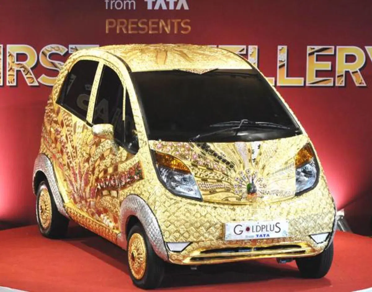 Tata Nano Goldplus (2)