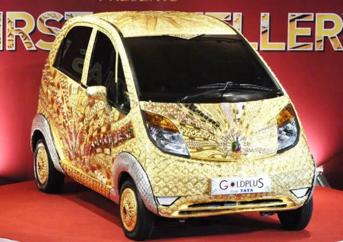 Tata Nano Goldplus (3)