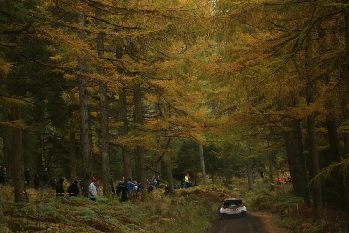 WRC16 Galles. Fermare Ogier (VW)! È una parola! (2)