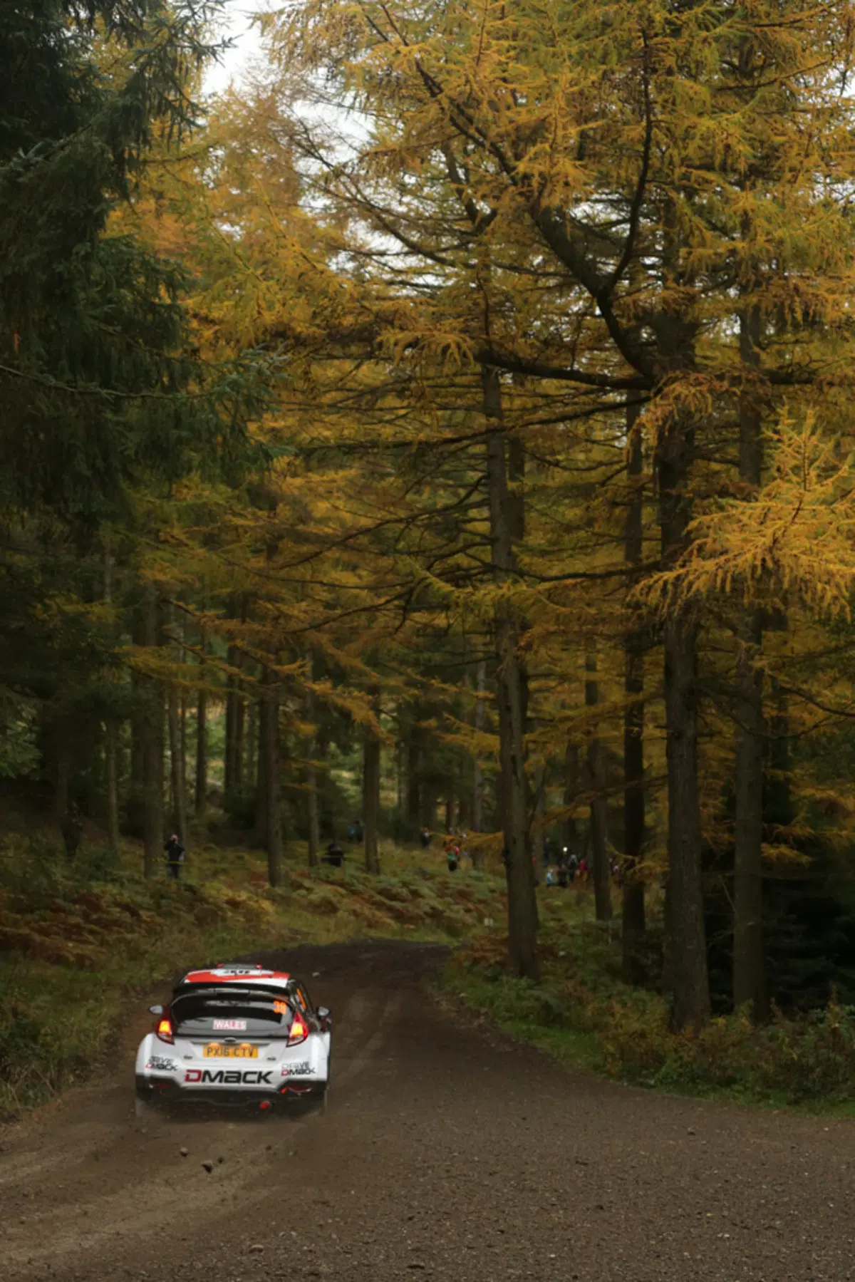 WRC16 Galles. Fermare Ogier (VW)! È una parola! (3)
