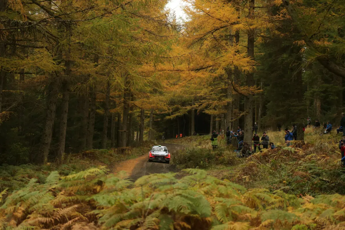 WRC16 Galles. Fermare Ogier (VW)! È una parola! (6)