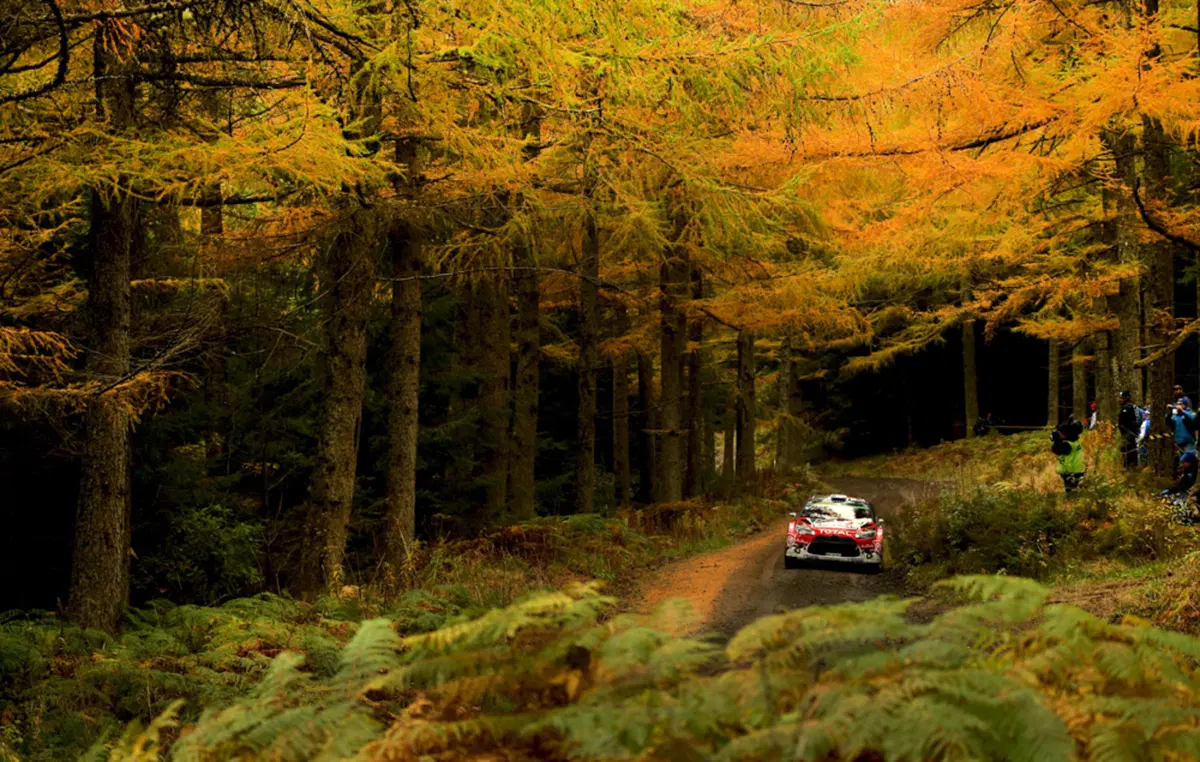 WRC16 Galles. Fermare Ogier (VW)! È una parola! (25)