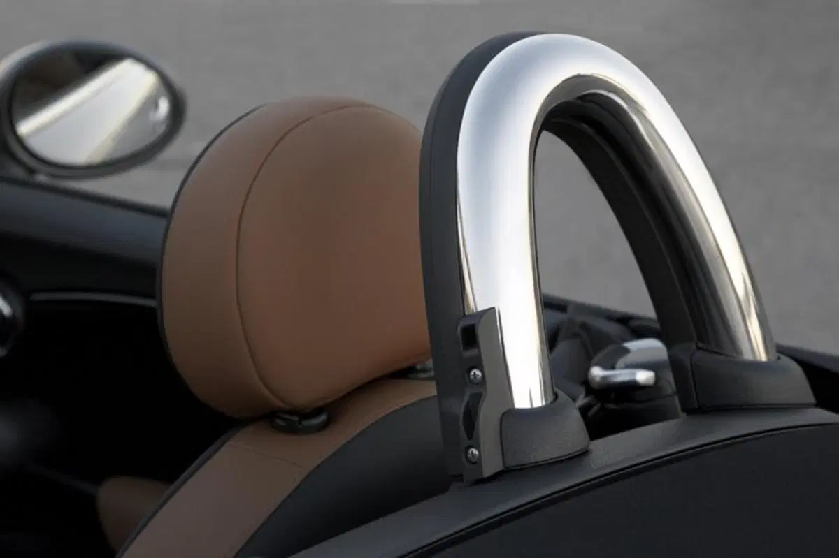 Mini Roadster (37)