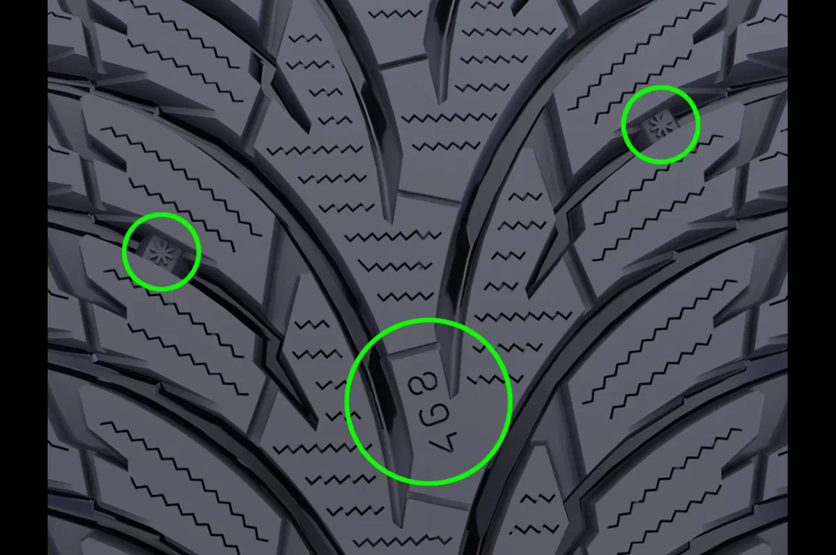 Nokian WR D3 (4)