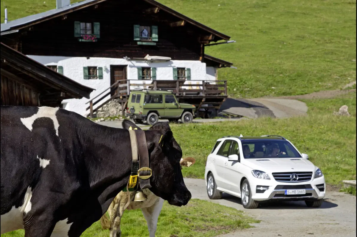 Mercedes-Benz Classe M insignita di certificazione ambientale (5)