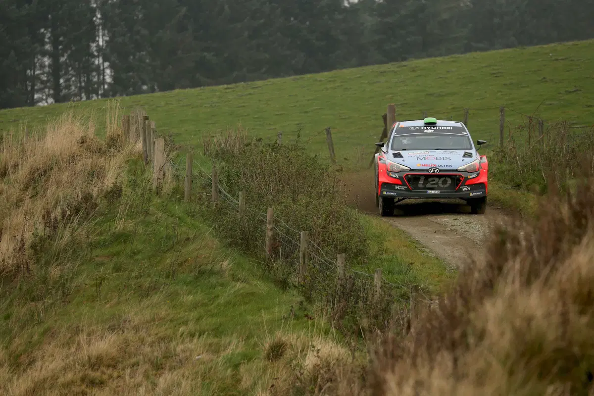 WRC con Hayden Paddon: Galles (4)