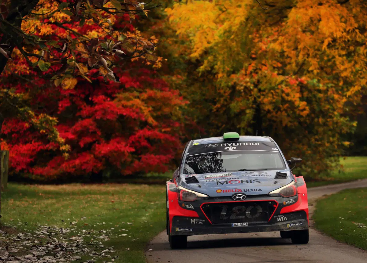 WRC con Hayden Paddon: Galles (12)