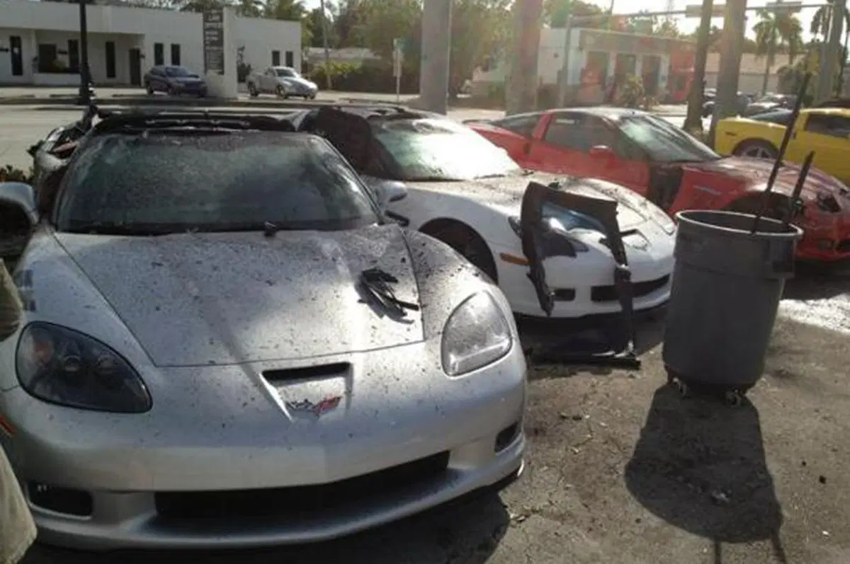 Miami: un uomo si schianta contro un concessionario Corvette (5)