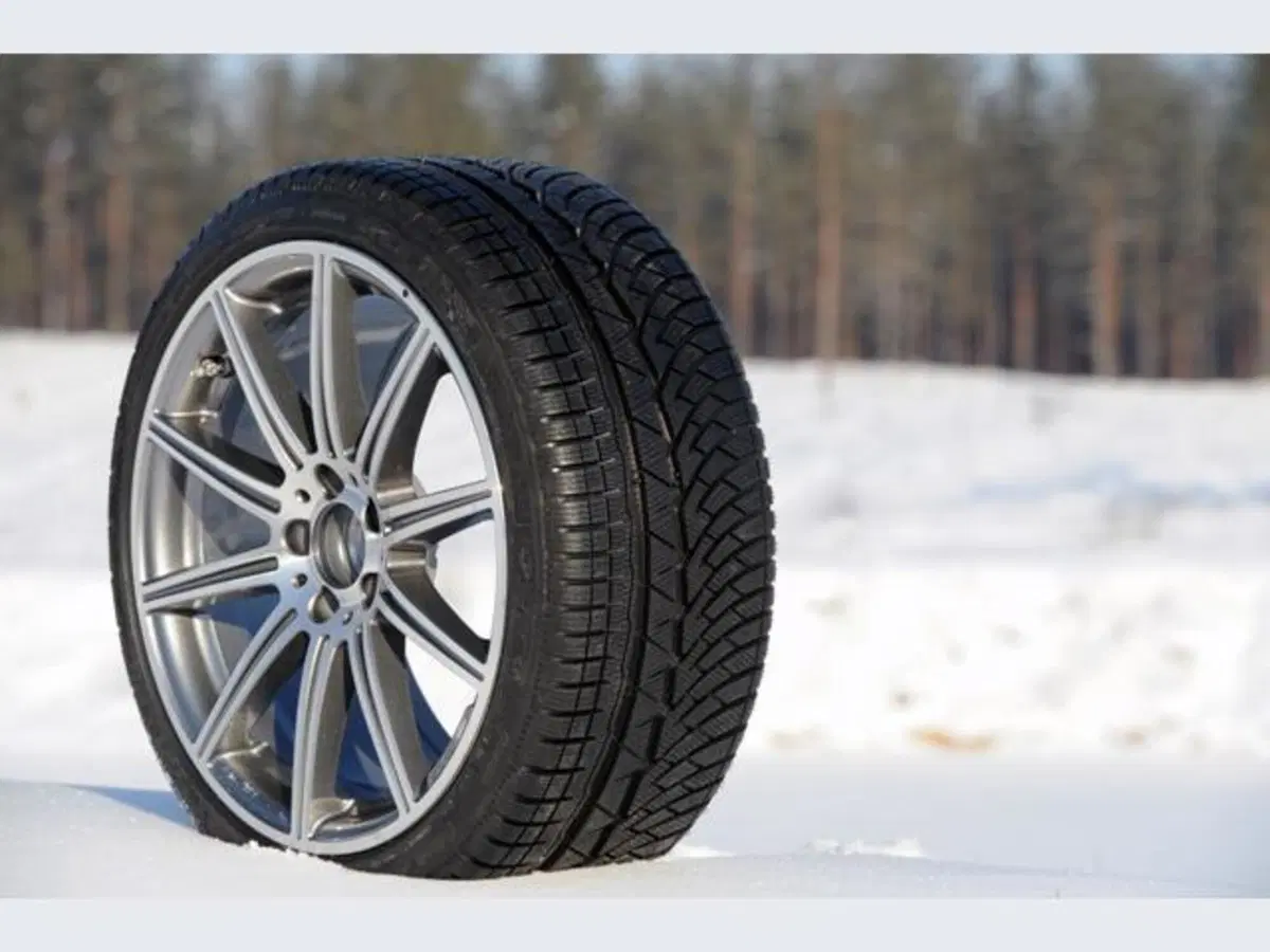 Michelin Pilot Alpin PA4 (4)