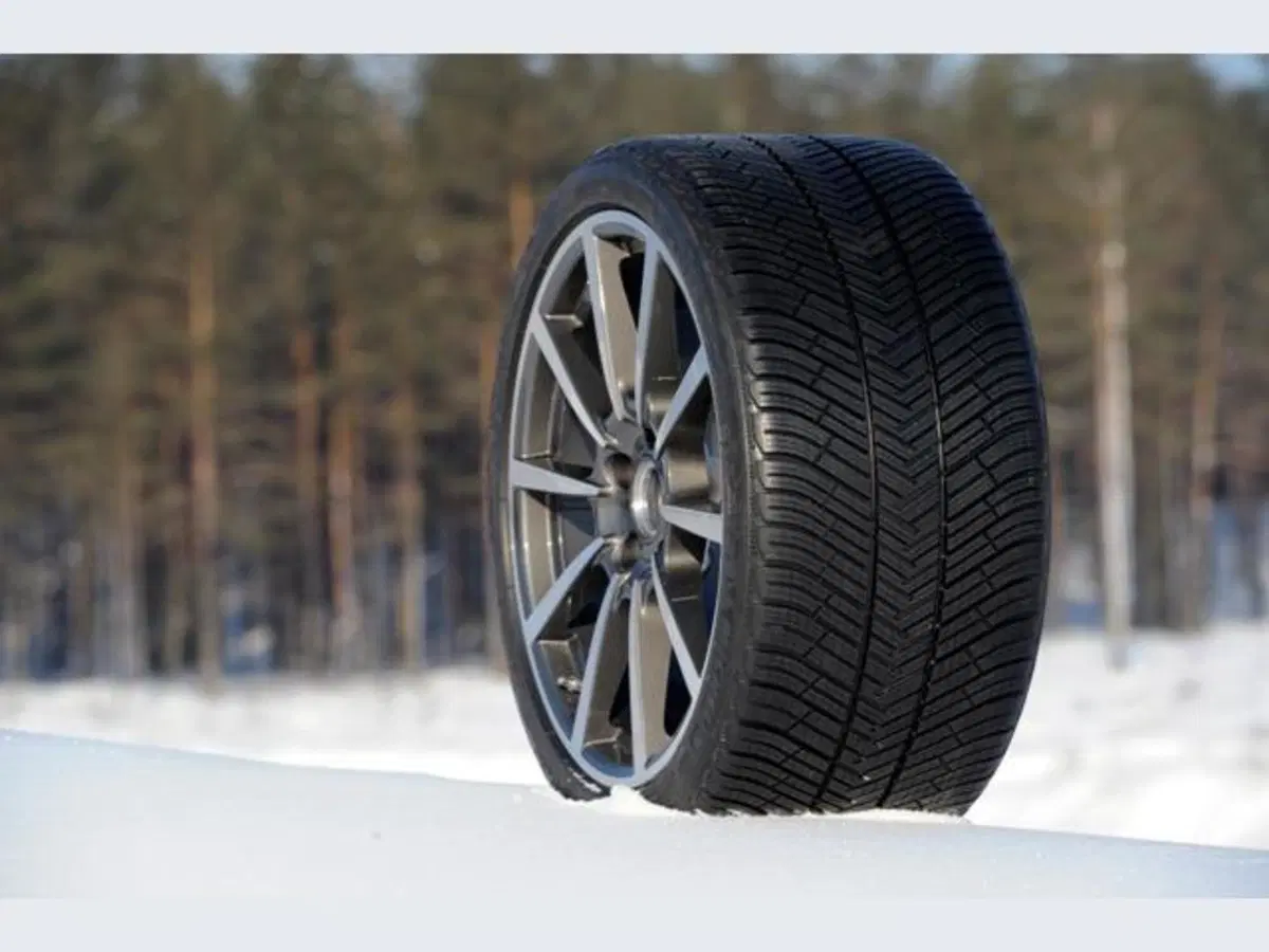 Michelin Pilot Alpin PA4 (5)