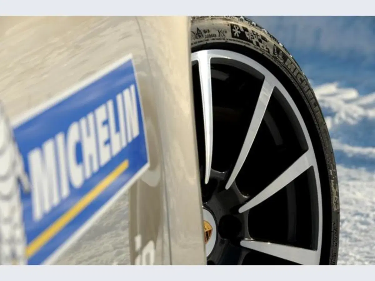 Michelin Pilot Alpin PA4 (7)