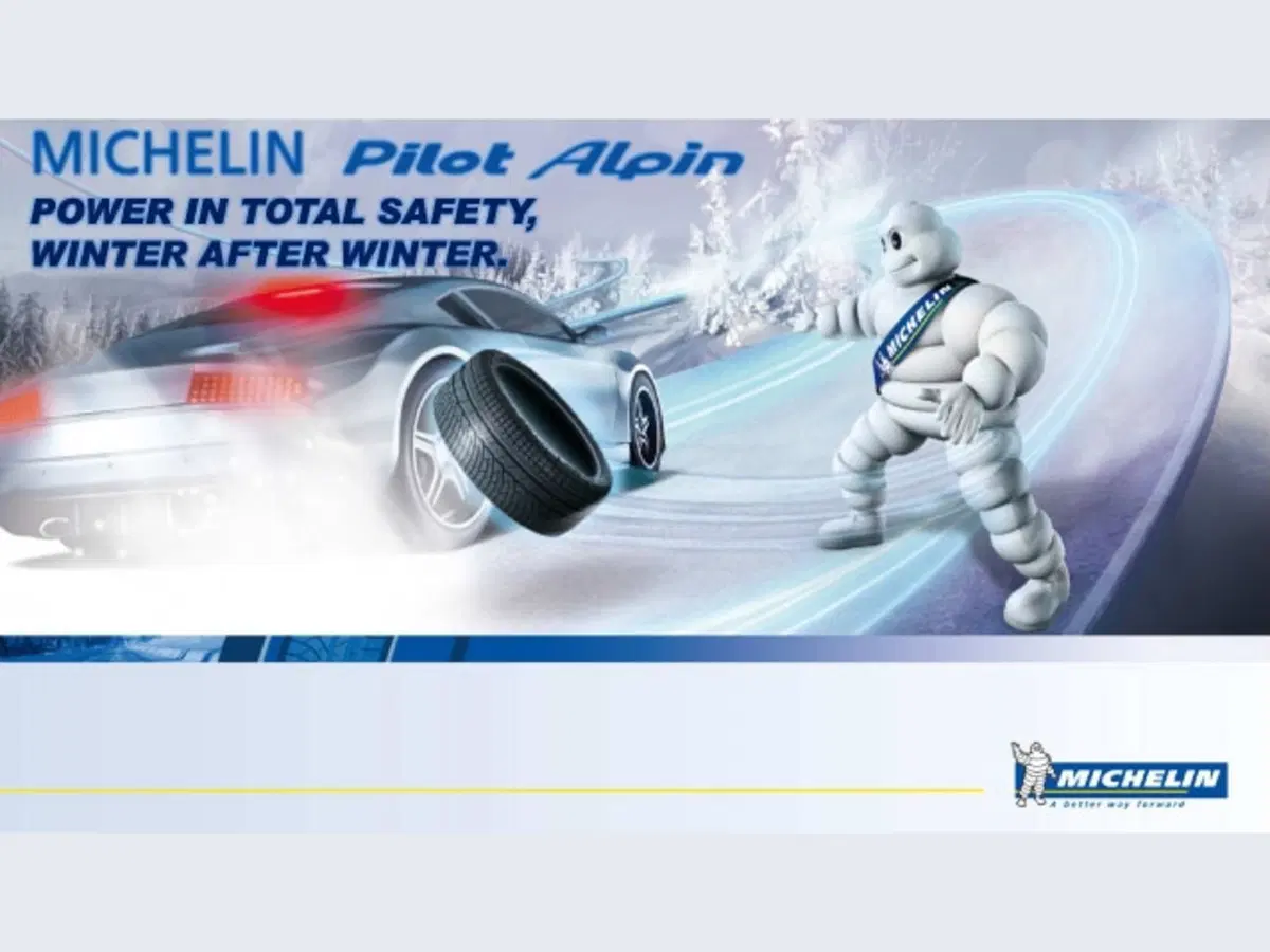 Michelin Pilot Alpin PA4 (71)