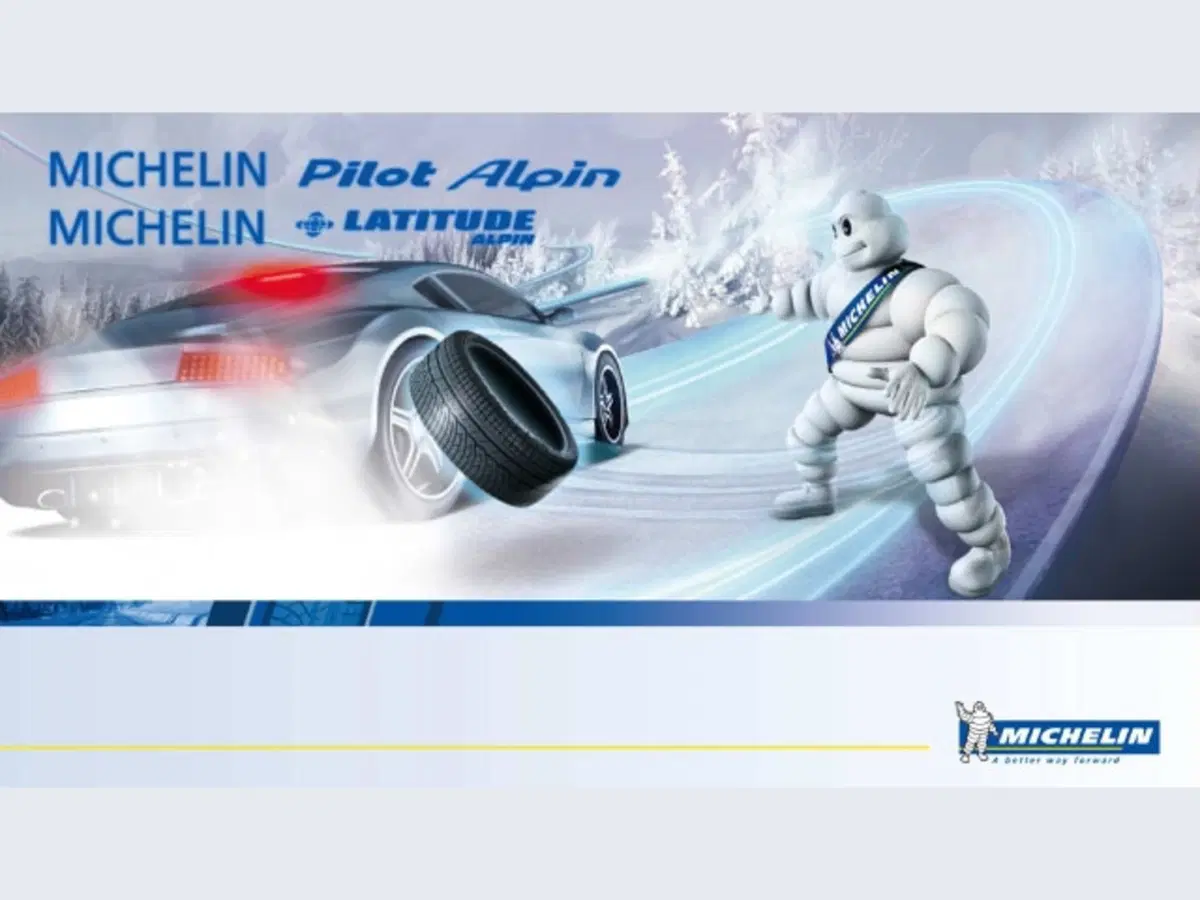 Michelin Pilot Alpin PA4 (72)