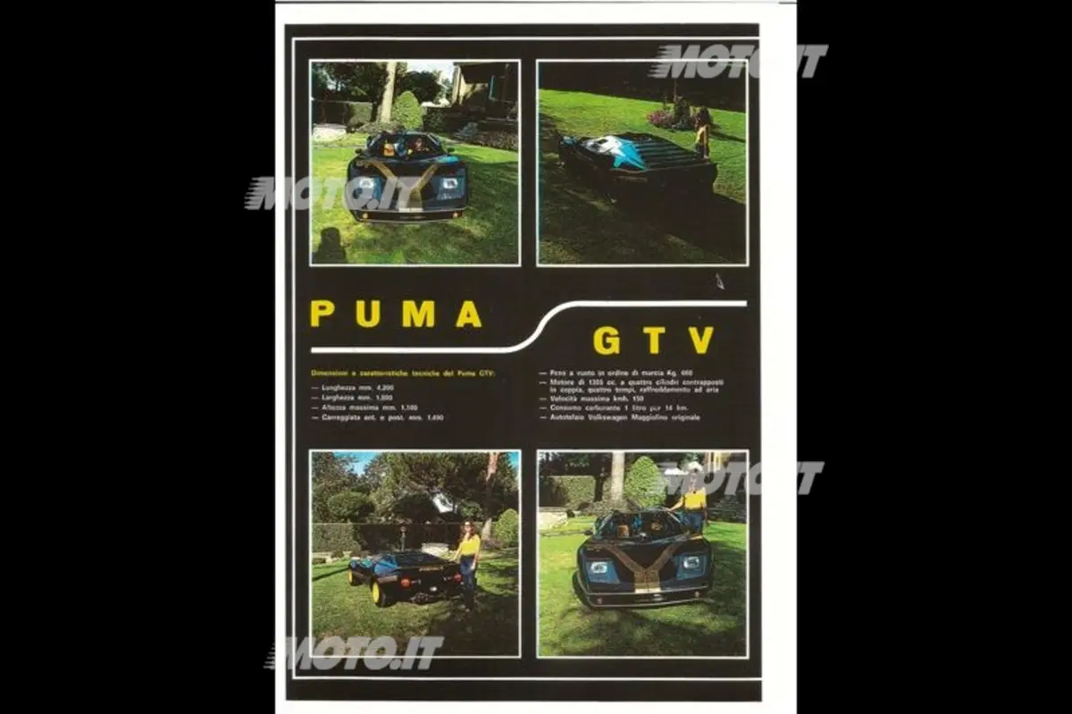 Puma: vis à vis con Adriano Gatto (15)