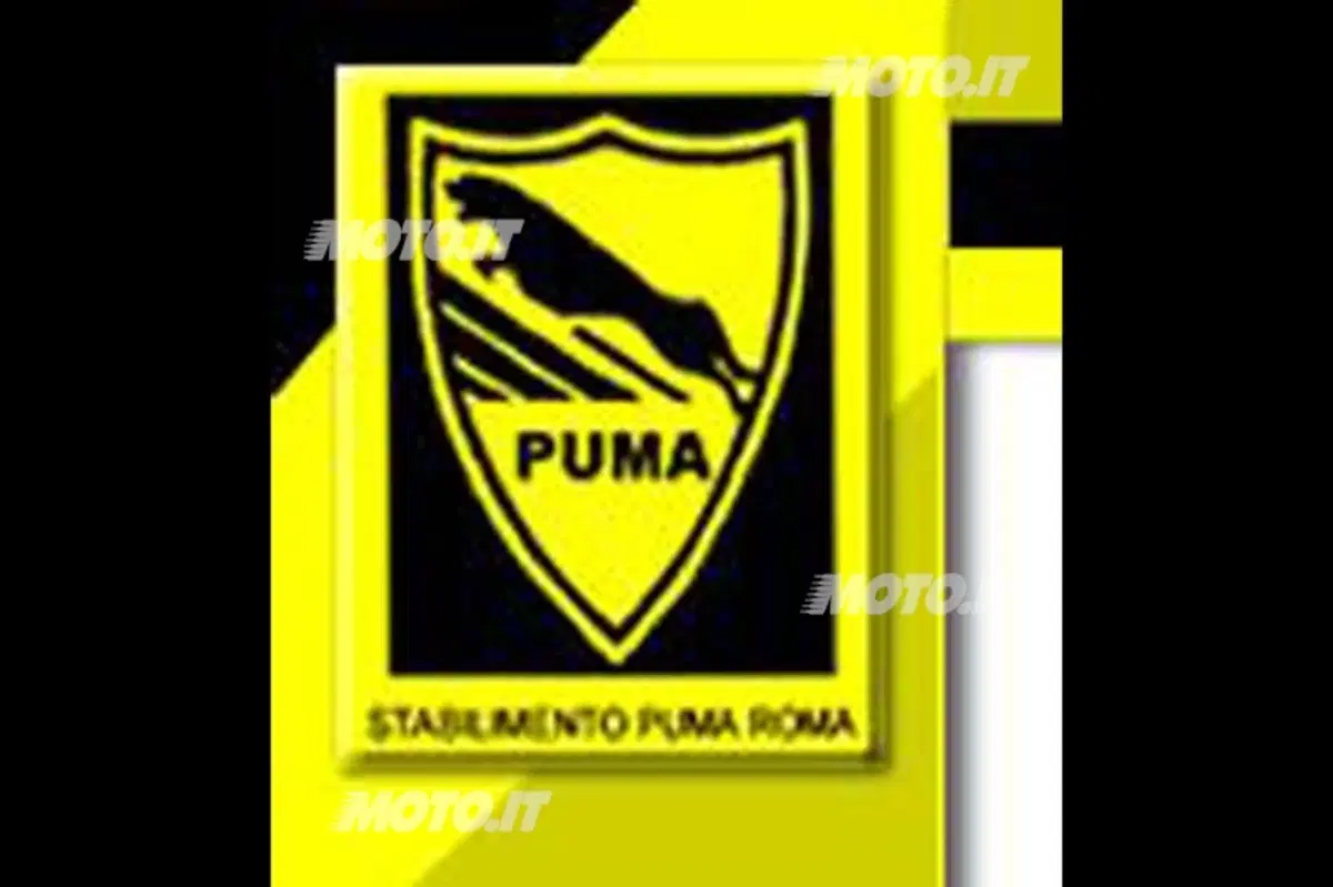 Puma: vis à vis con Adriano Gatto (27)