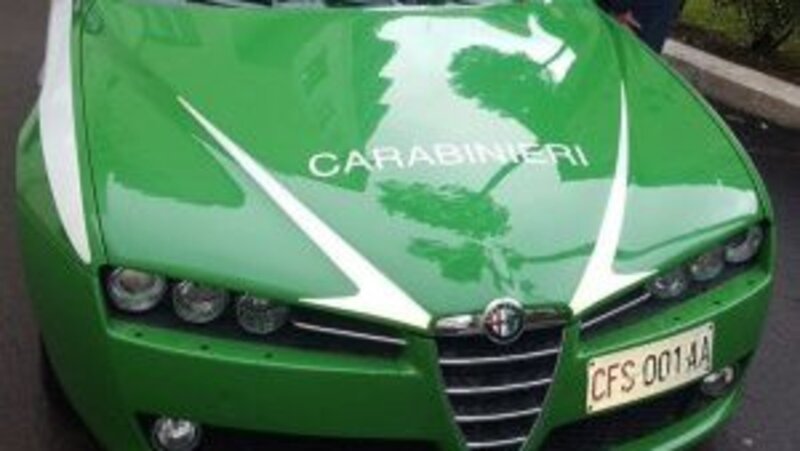 Carabinieri: le auto per la Forestale diventano verdi