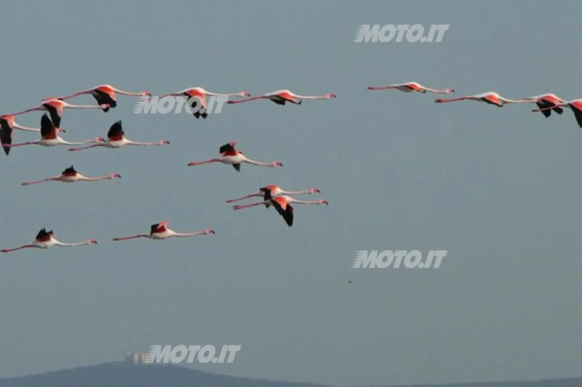 Un giro per la vita 2012: da Pescara a Brindisi (12)
