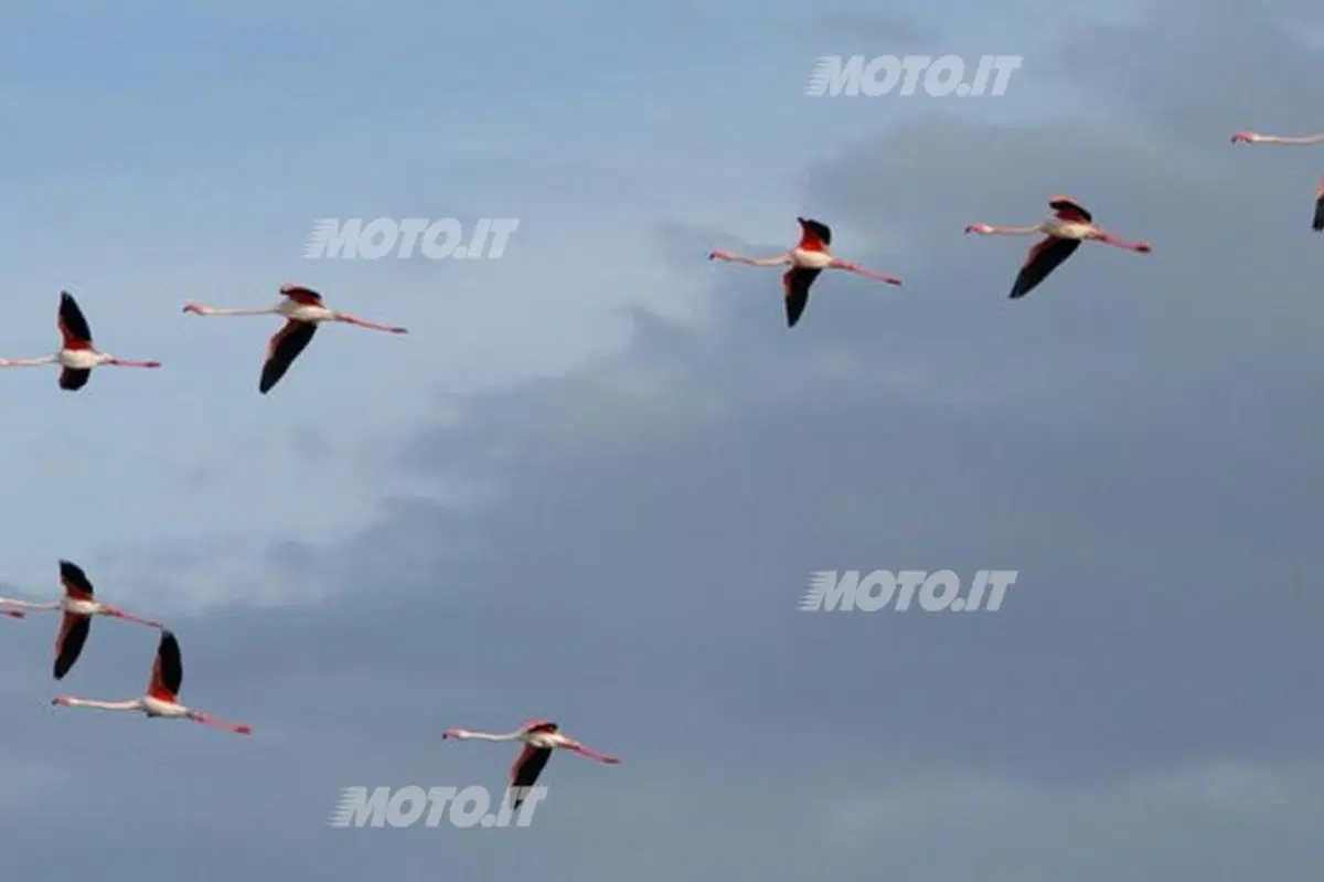 Un giro per la vita 2012: da Pescara a Brindisi (13)
