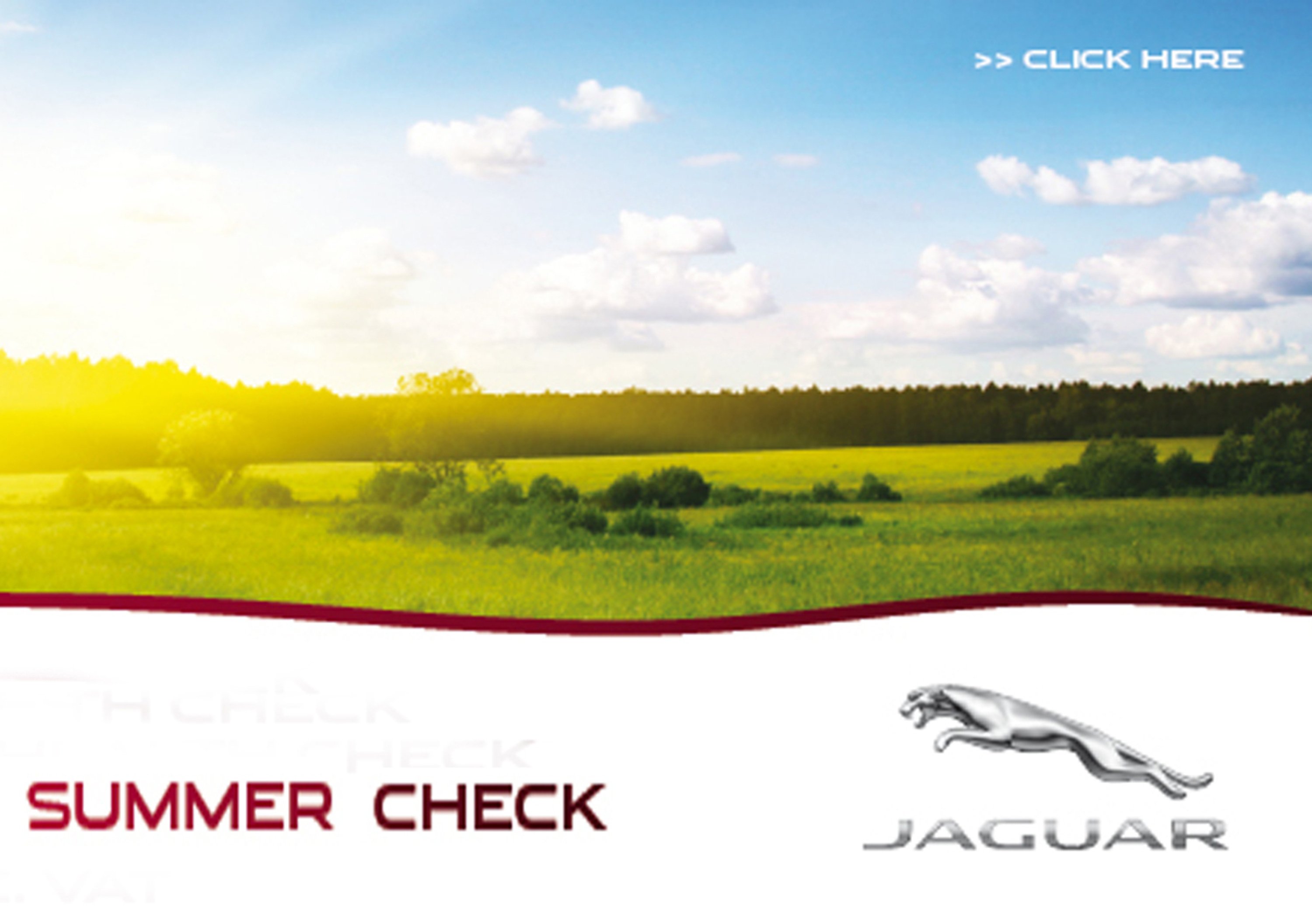 Jaguar Summer Check 2012
