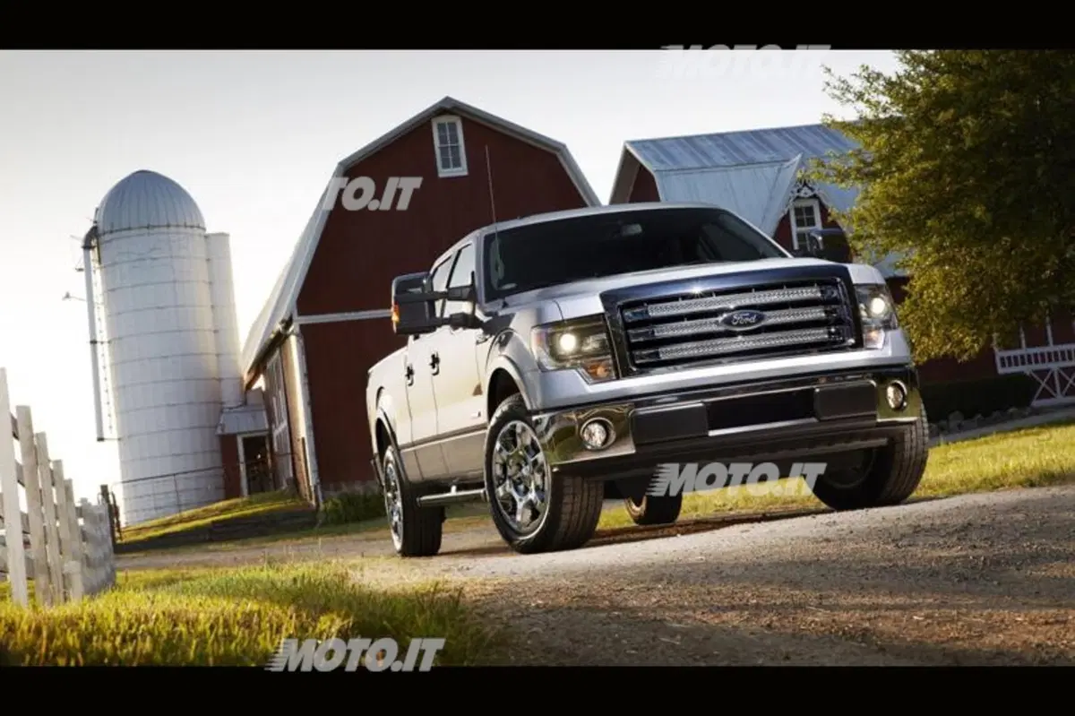 Ford F-150 M.Y. 2013 (3)