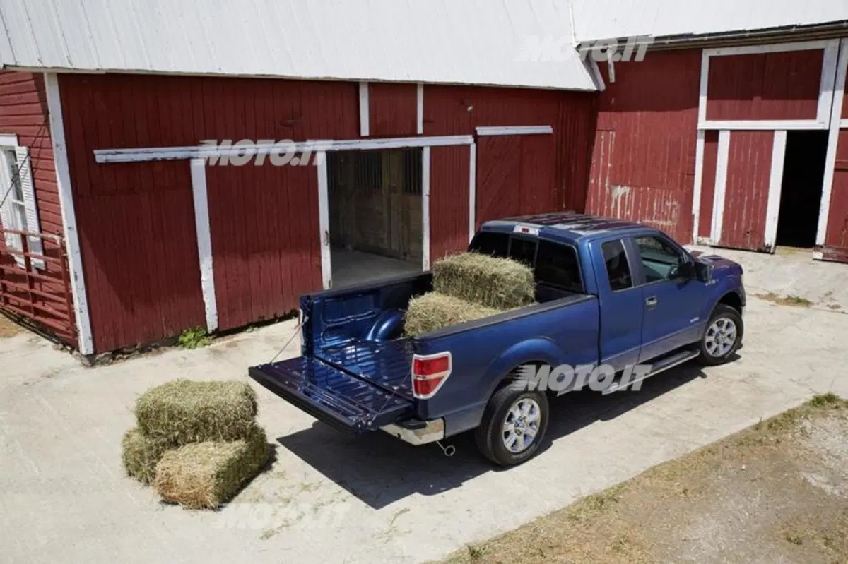 Ford F-150 M.Y. 2013 (5)