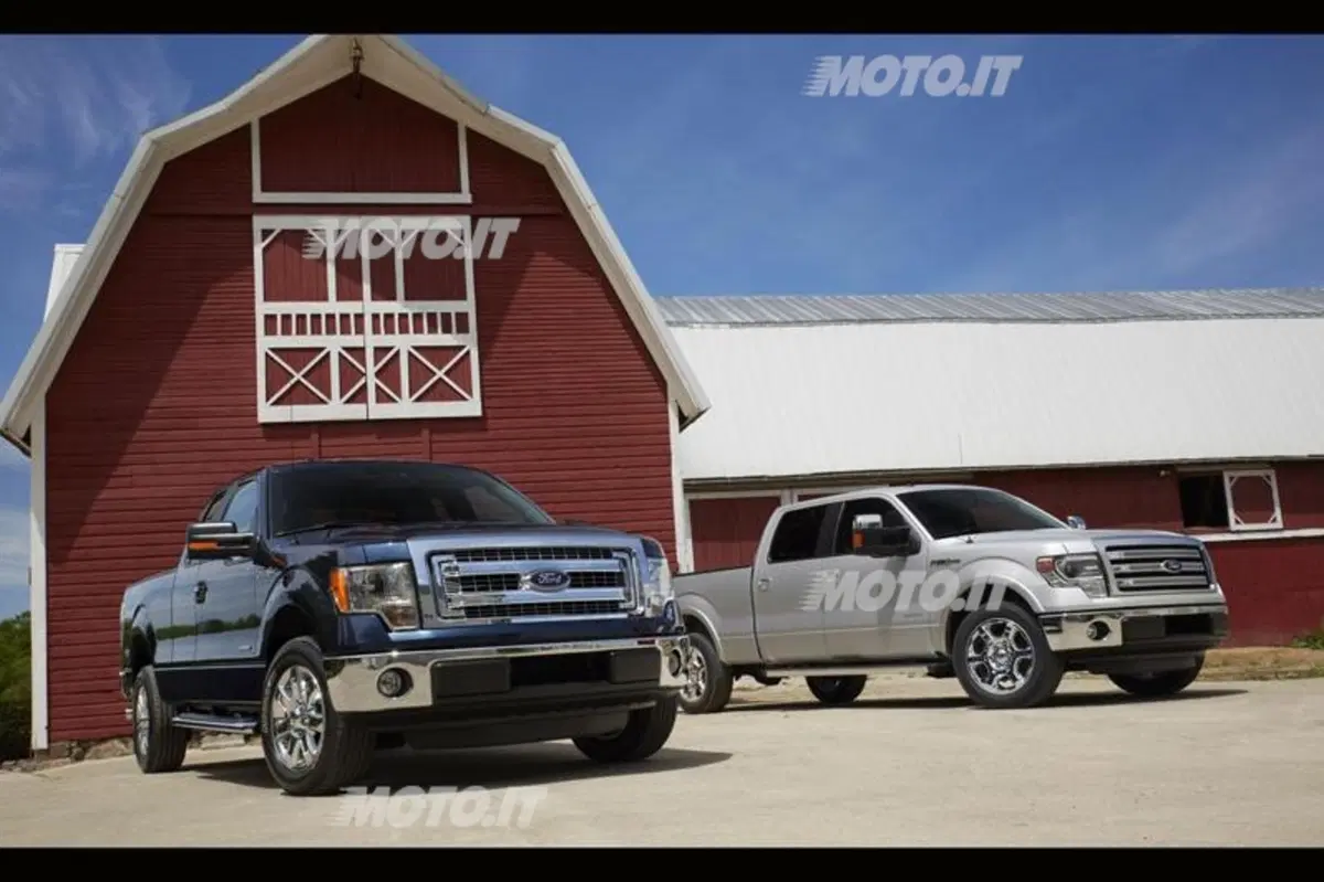 Ford F-150 M.Y. 2013 (6)