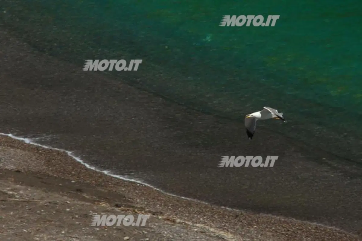 Un giro per la vita 2012: da Sapri a Napoli (5)