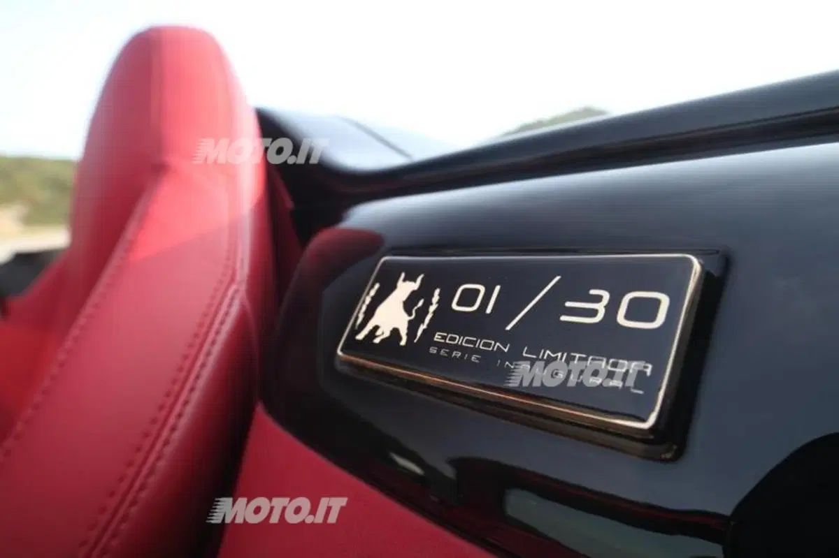 Tauro V8 Spider (11)