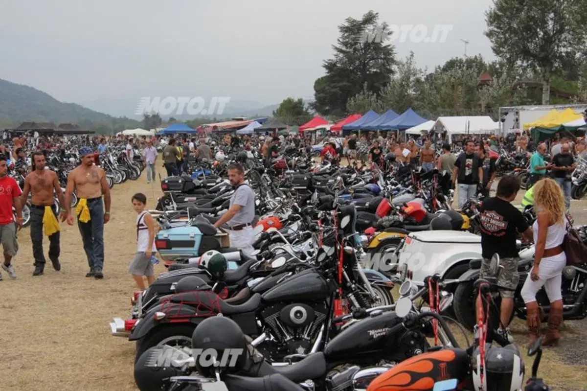 Hills Race 2012 (6)