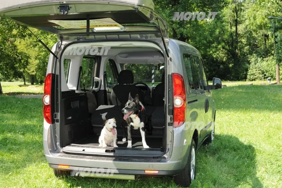 Opel Combo Pet Lover Edition, in vacanza con Fido (2)