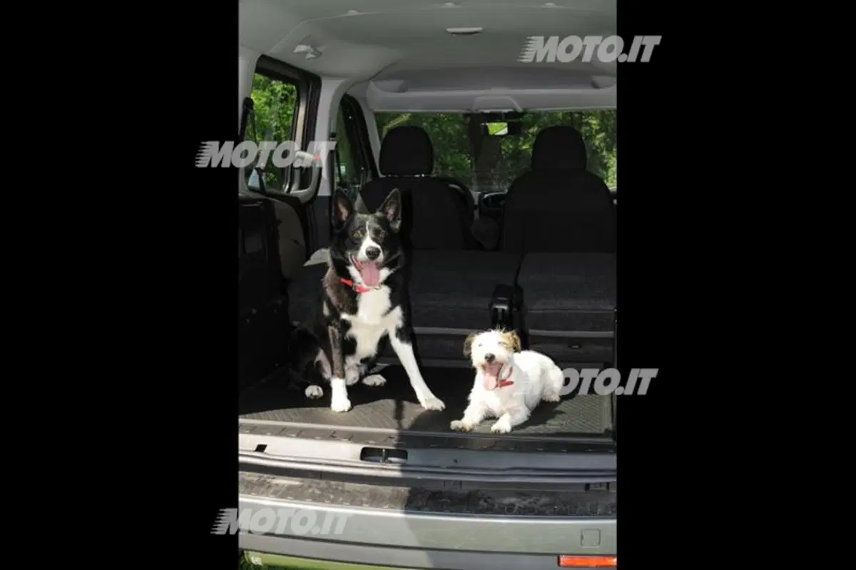 Opel Combo Pet Lover Edition, in vacanza con Fido (5)