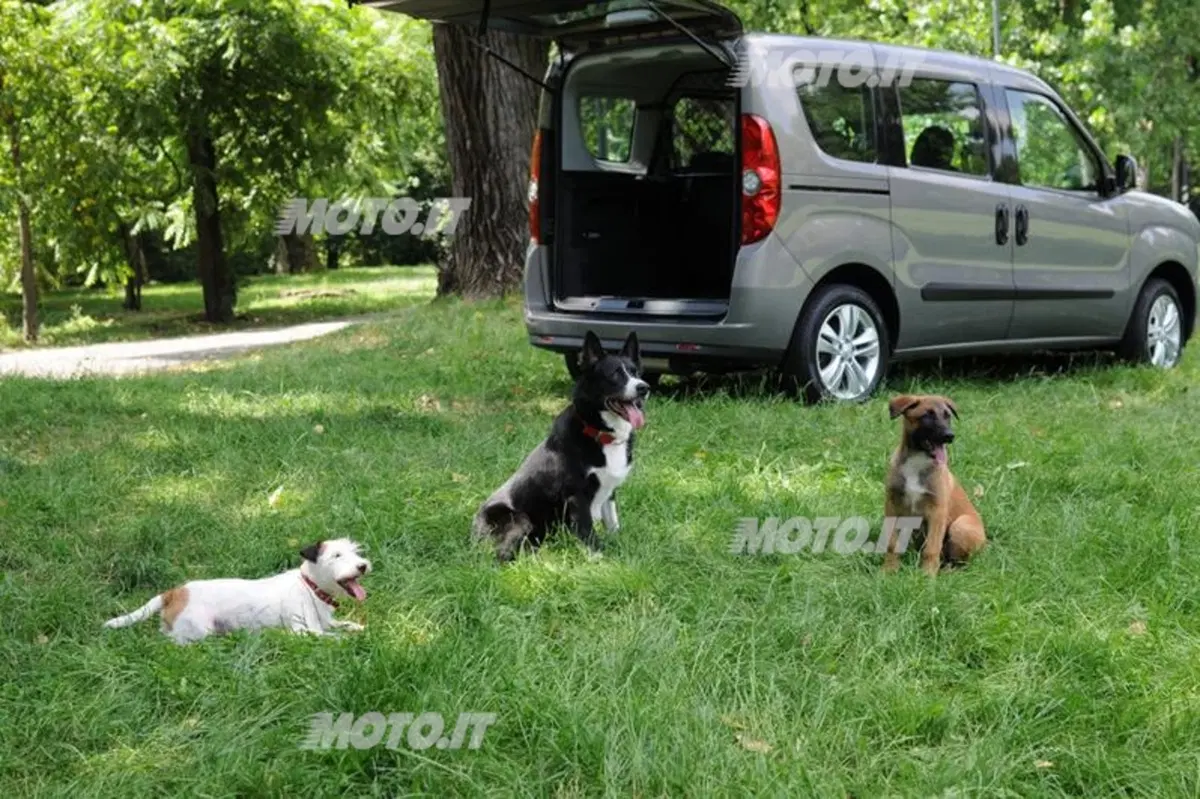 Opel Combo Pet Lover Edition, in vacanza con Fido (6)