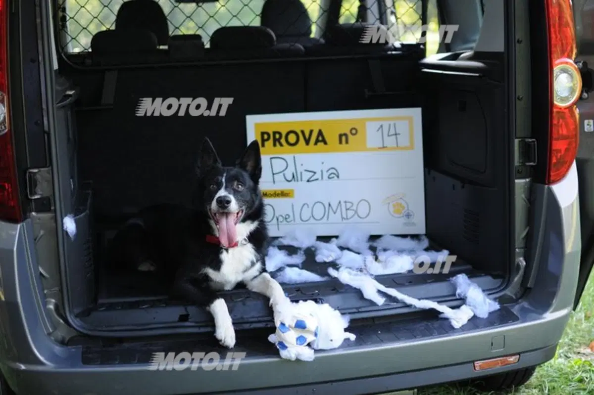 Opel Combo Pet Lover Edition, in vacanza con Fido (9)