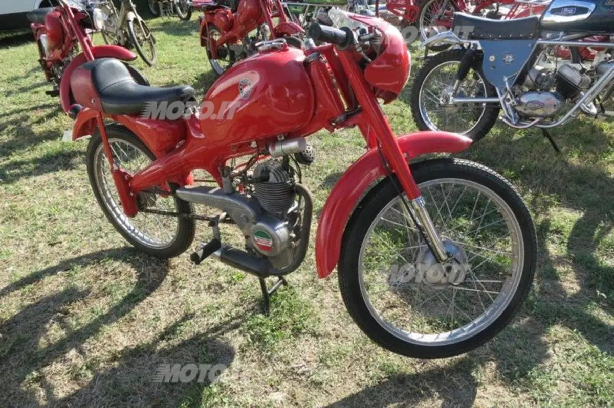 Imola Mostra Scambio: le foto più belle della 36a edizione (124)