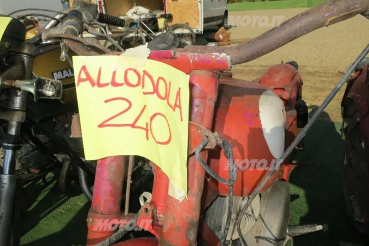 Imola Mostra Scambio: le foto più belle della 36a edizione (147)